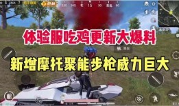 吃鸡最新爆料了什么东西,神秘新内容即将揭晓，玩家期待值飙升！